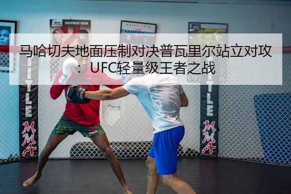 马哈切夫地面压制对决普瓦里尔站立对攻：UFC轻量级王者之战
