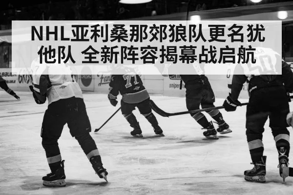 ice hockey action